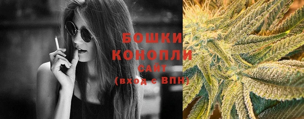 МДПВ Липки