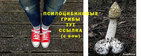 крисы Абдулино