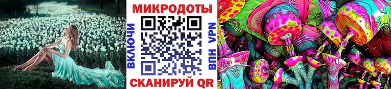 Псилоцибиновые грибы GOLDEN TEACHER  магазин  наркотиков  Сальск 