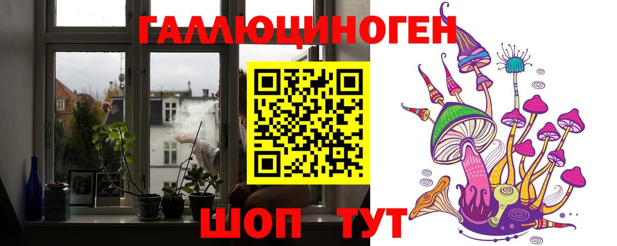 Сальск  Псилоцибиновые грибы ЛСД  Вход с VPN 