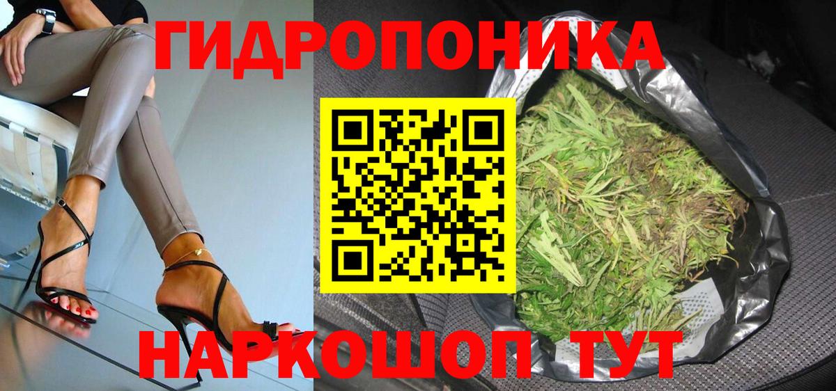 Каннабис Amnesia  МАРИХУАНА план  Вход с VPN  Бошки Шишки сатива  Сальск 